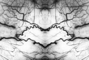 Harold E. Edgerton: Foto einer Retina (Netzhaut) mit Venen (hier gespiegelt)