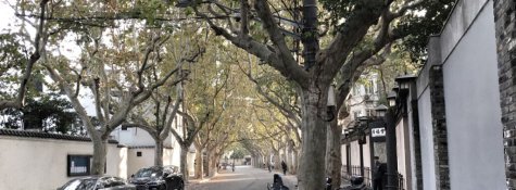Former French Concession – Yongfu Road