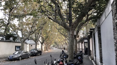 Former French Concession – Yongfu Road